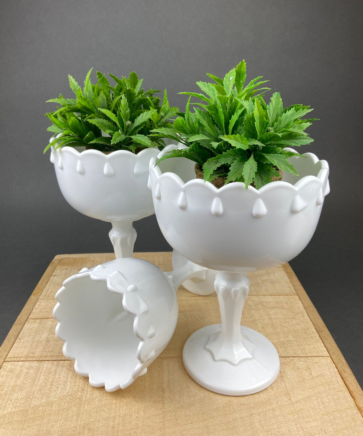 Milk Glass Oak Leaf Motif Planters. Set of Three Differently Shaped Vases. White Herb Pots. Window Sill.