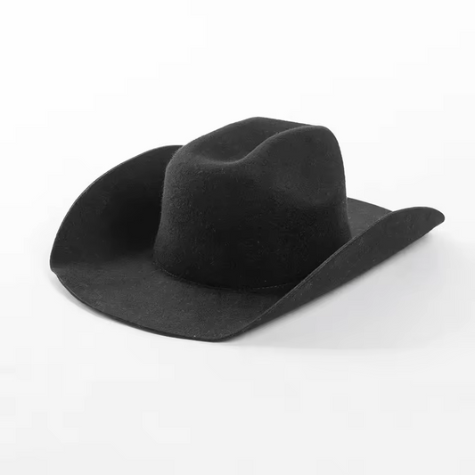 Daring Wool Wide Brim Fedora