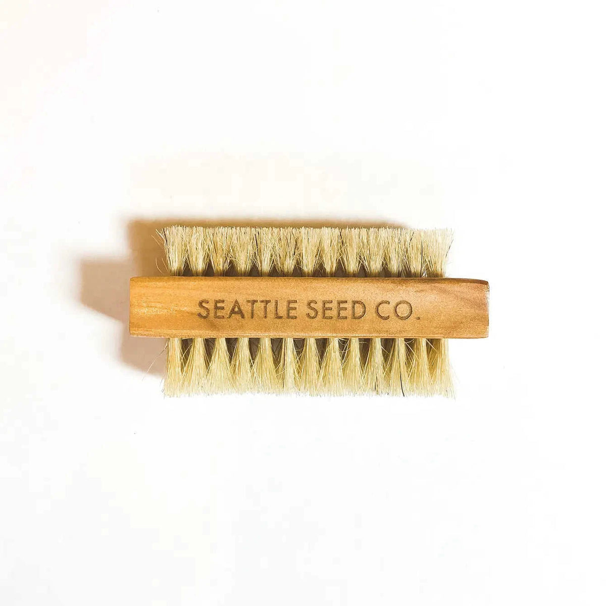 Vegetable and Nail Brush Eco My Home Brush Seattle Seed Company ecomyhome.store United States