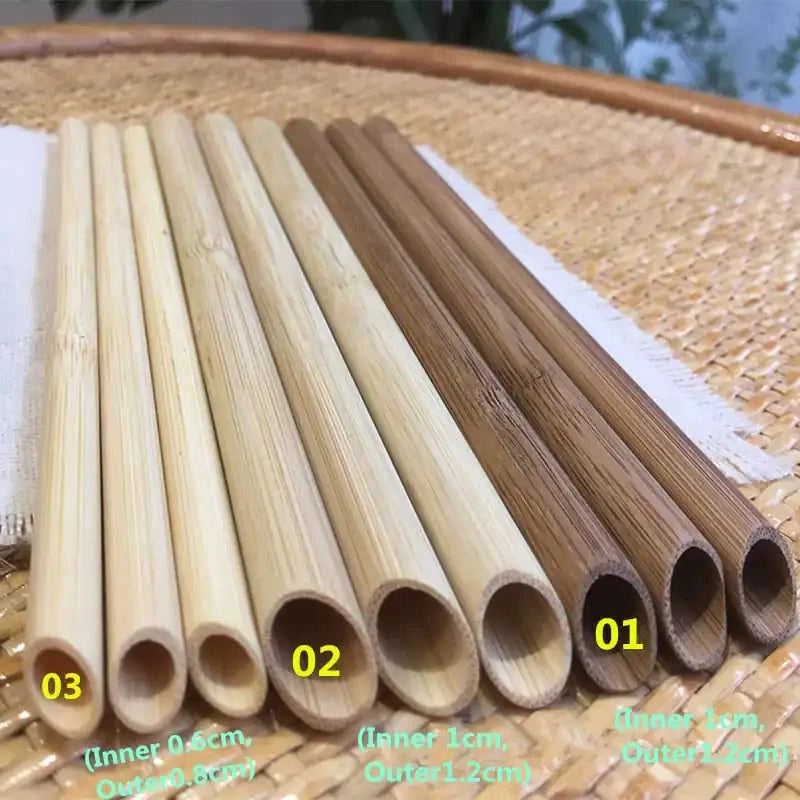100-Pack Eco-Friendly Reusable Bamboo Straws Eco My Home  Natural Toothbrush ecomyhome.store United States