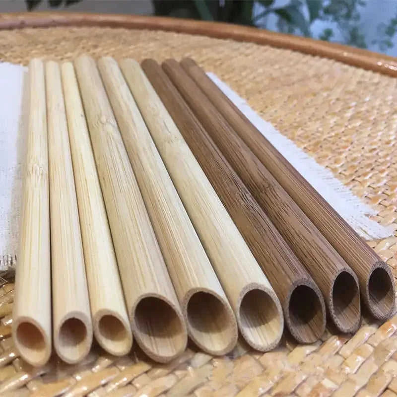 100-Pack Eco-Friendly Reusable Bamboo Straws Eco My Home  Natural Toothbrush ecomyhome.store United States