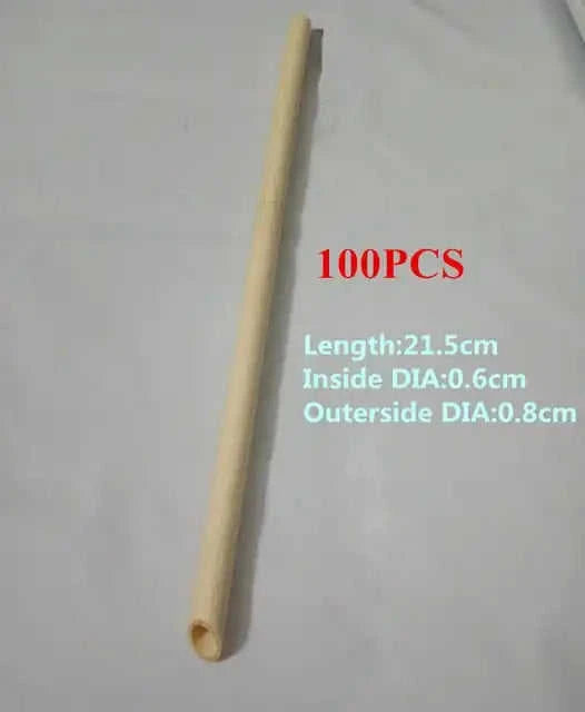 100-Pack Eco-Friendly Reusable Bamboo Straws Eco My Home  Natural Toothbrush ecomyhome.store United States