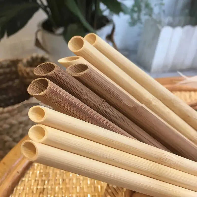 100-Pack Eco-Friendly Reusable Bamboo Straws Eco My Home  Natural Toothbrush ecomyhome.store United States