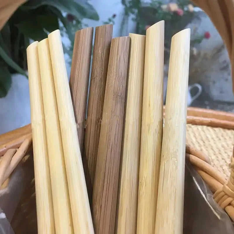 100-Pack Eco-Friendly Reusable Bamboo Straws Eco My Home  Natural Toothbrush ecomyhome.store United States