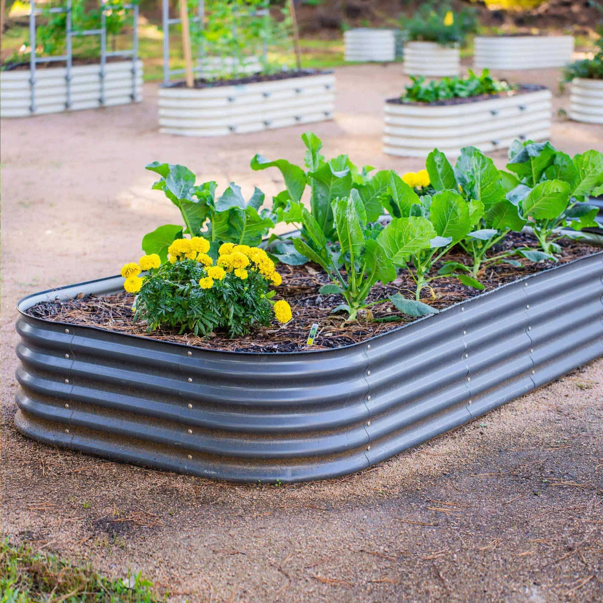 17" Tall 10 In 1 Jumbo Modular Metal Raised Garden Bed Kit Eco My Home Garden beds Vego Garden ecomyhome.store United States