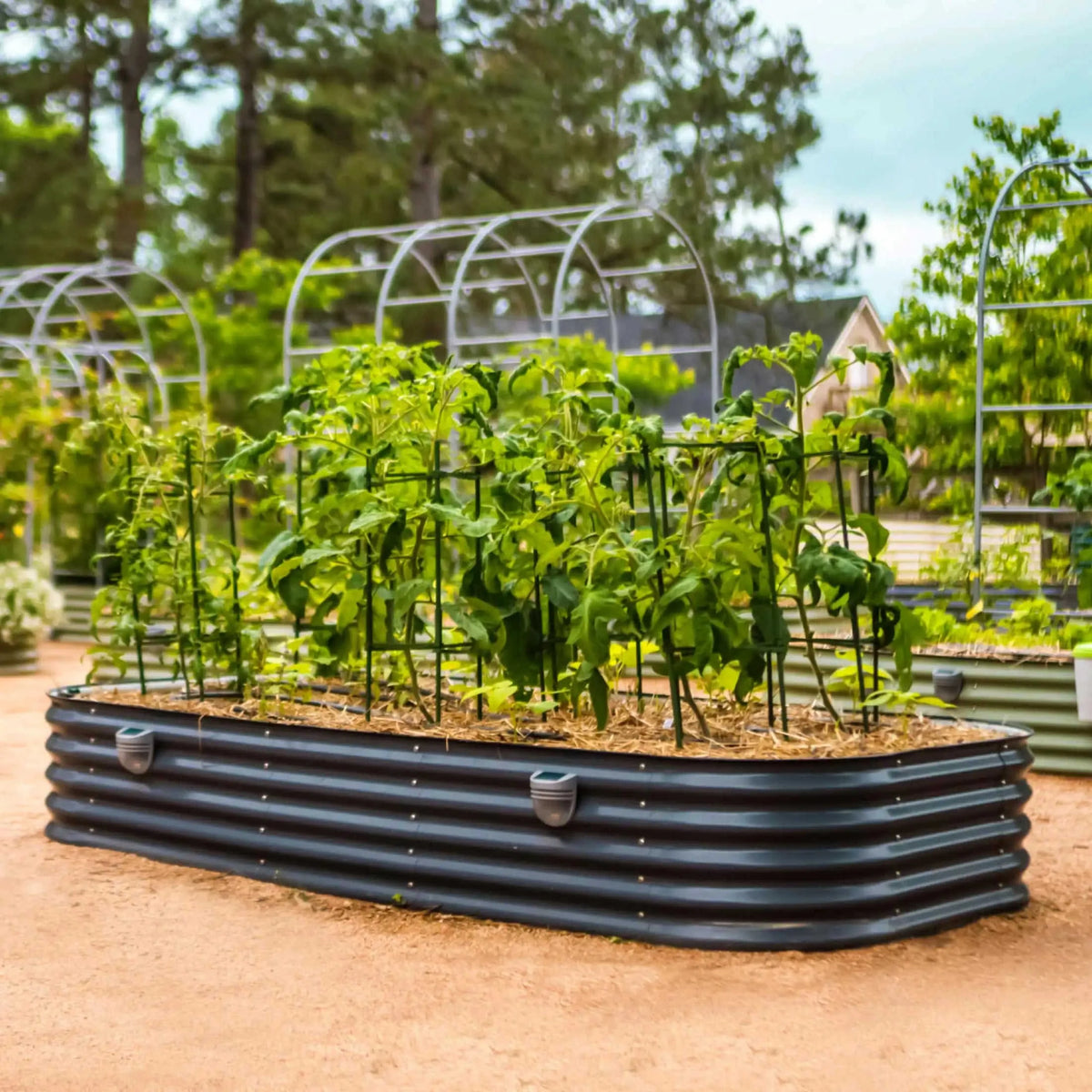 17" Tall 10 In 1 Jumbo Modular Metal Raised Garden Bed Kit Eco My Home Garden beds Vego Garden ecomyhome.store United States