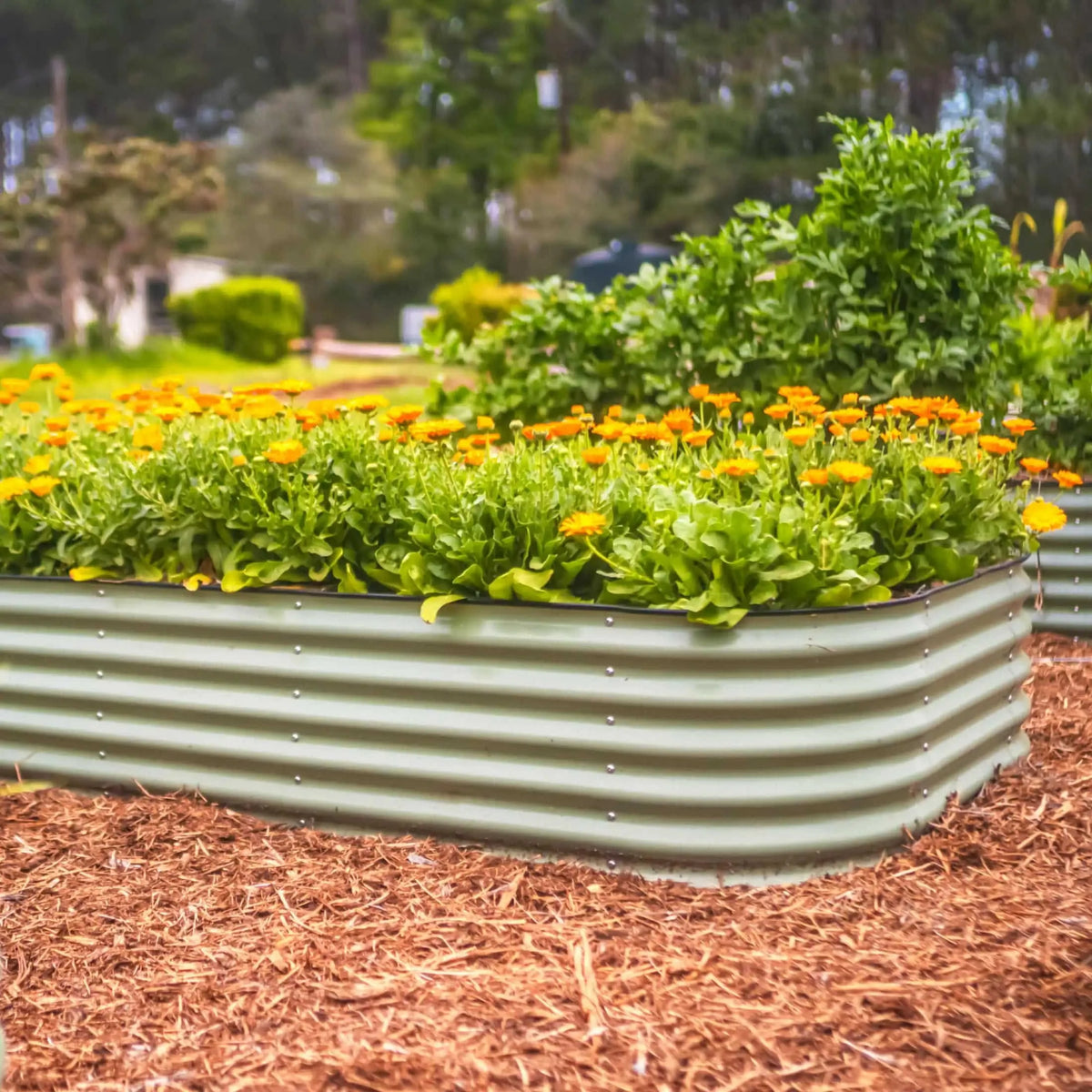 17" Tall 10 In 1 Jumbo Modular Metal Raised Garden Bed Kit Eco My Home Garden beds Vego Garden ecomyhome.store United States