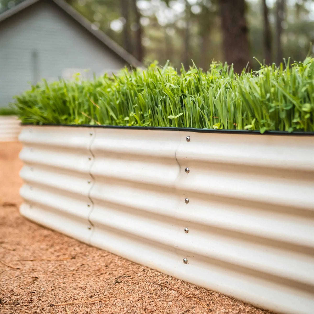 17" Tall 4 In 1 Small Modular Metal Raised Garden Bed Kit Eco My Home Garden beds Vego Garden ecomyhome.store United States
