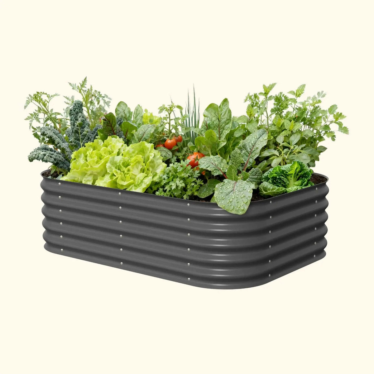 17" Tall 6 In 1 Medium Modular Metal Raised Garden Bed Kit Eco My Home Garden beds Vego Garden ecomyhome.store United States