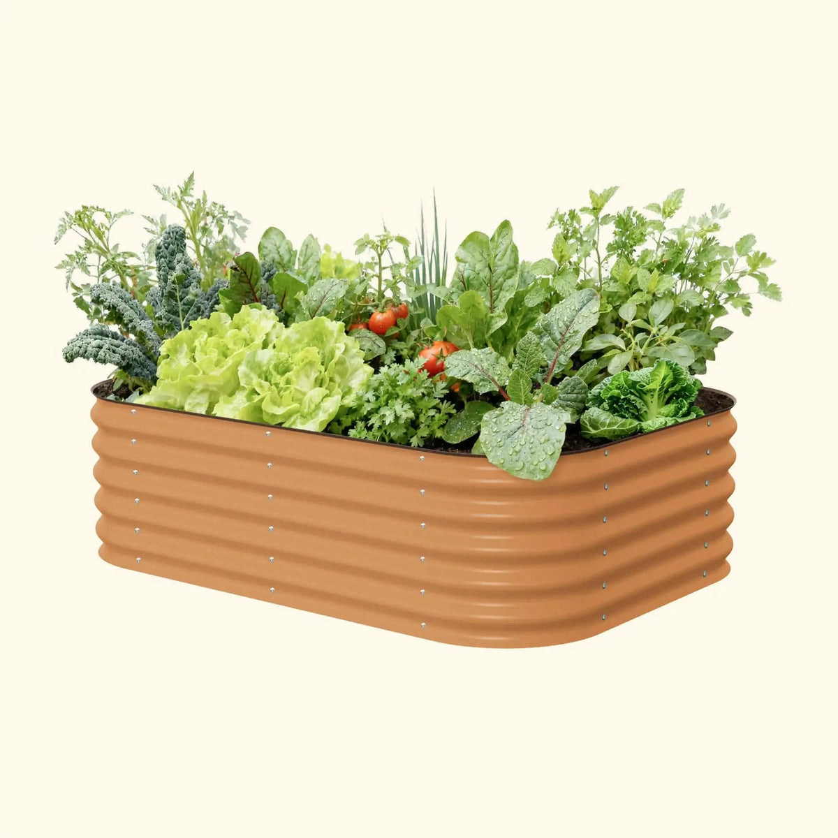 17" Tall 6 In 1 Medium Modular Metal Raised Garden Bed Kit Eco My Home Garden beds Vego Garden ecomyhome.store United States