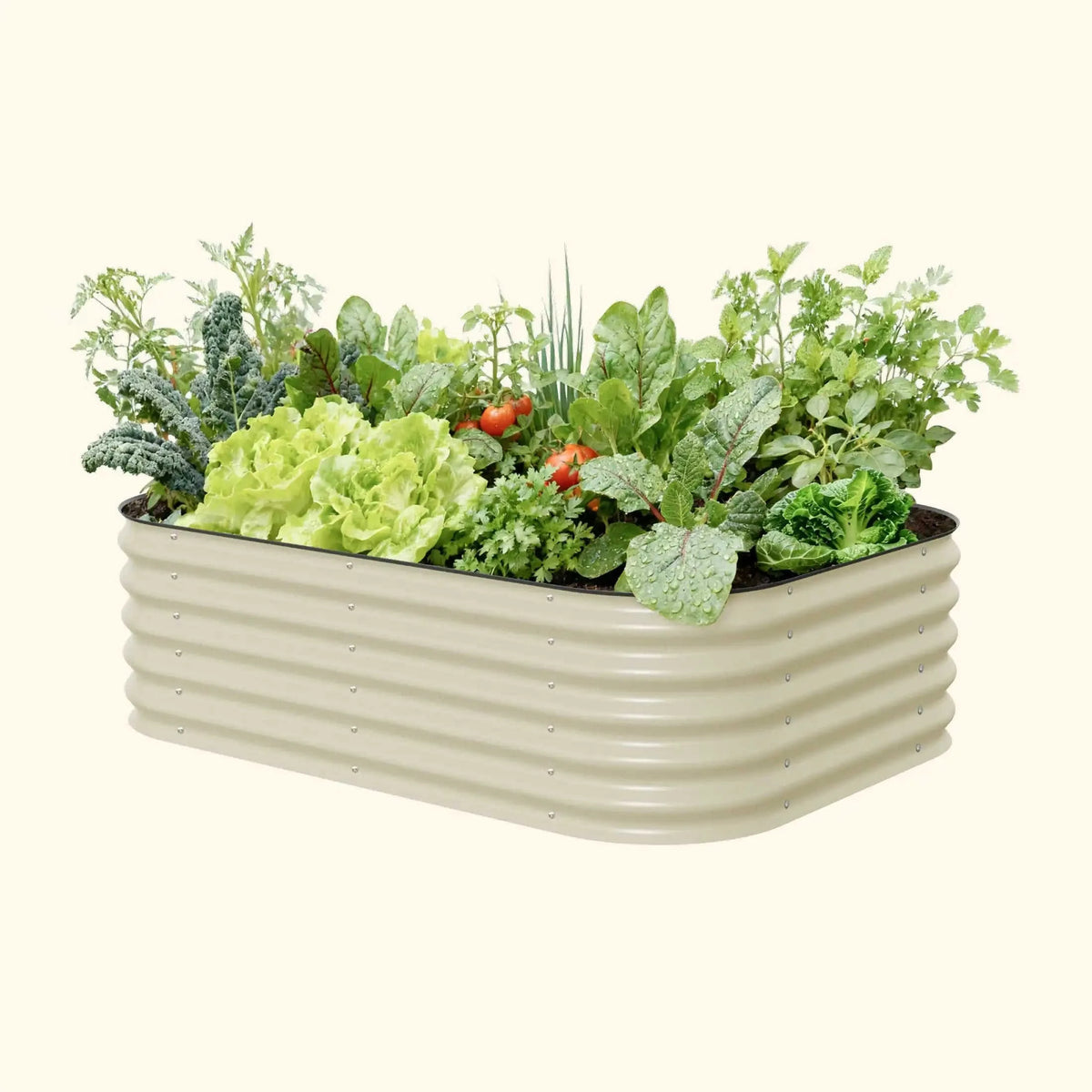 17" Tall 6 In 1 Medium Modular Metal Raised Garden Bed Kit Eco My Home Garden beds Vego Garden ecomyhome.store United States