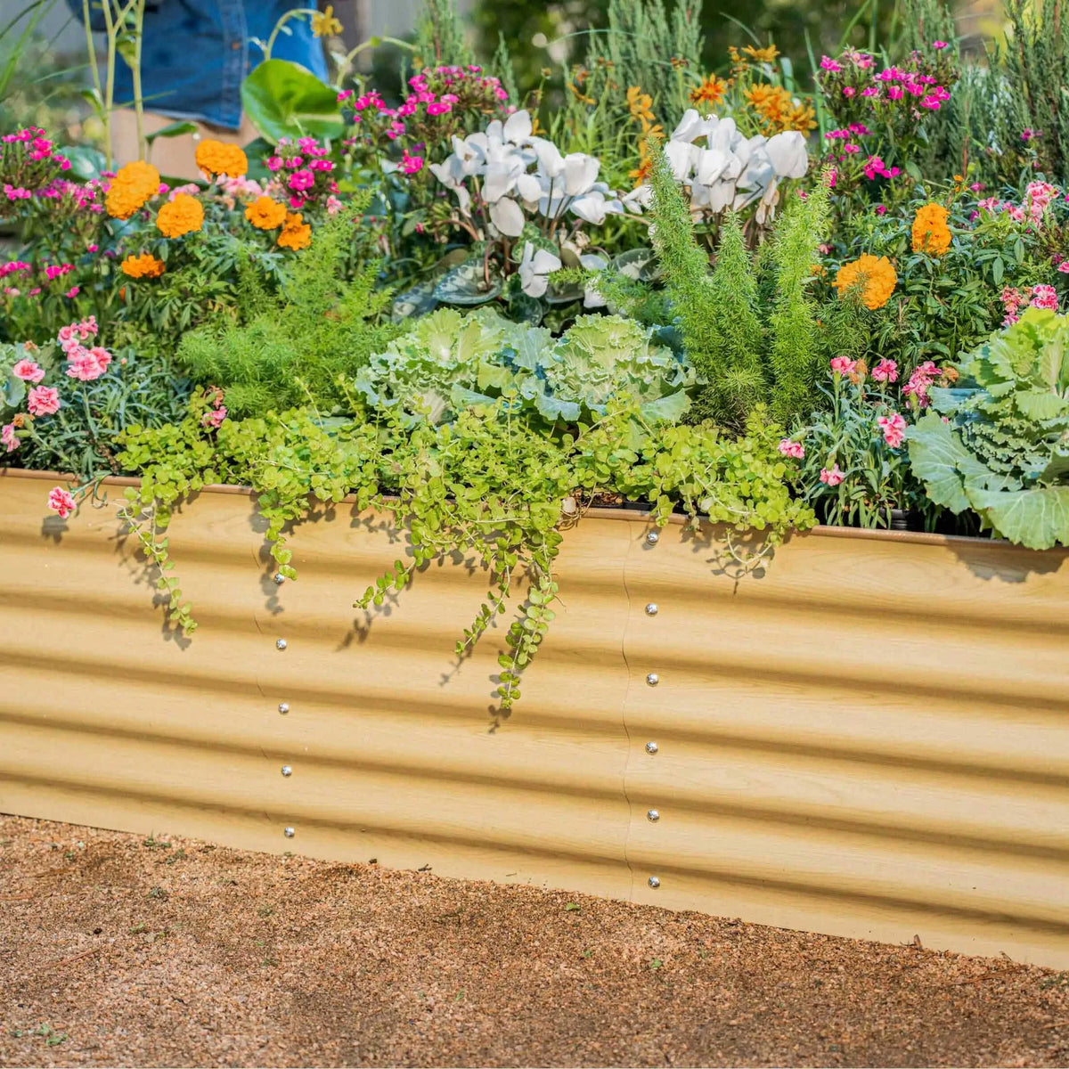 17" Tall 6 In 1 Medium Modular Metal Raised Garden Bed Kit Eco My Home Garden beds Vego Garden ecomyhome.store United States