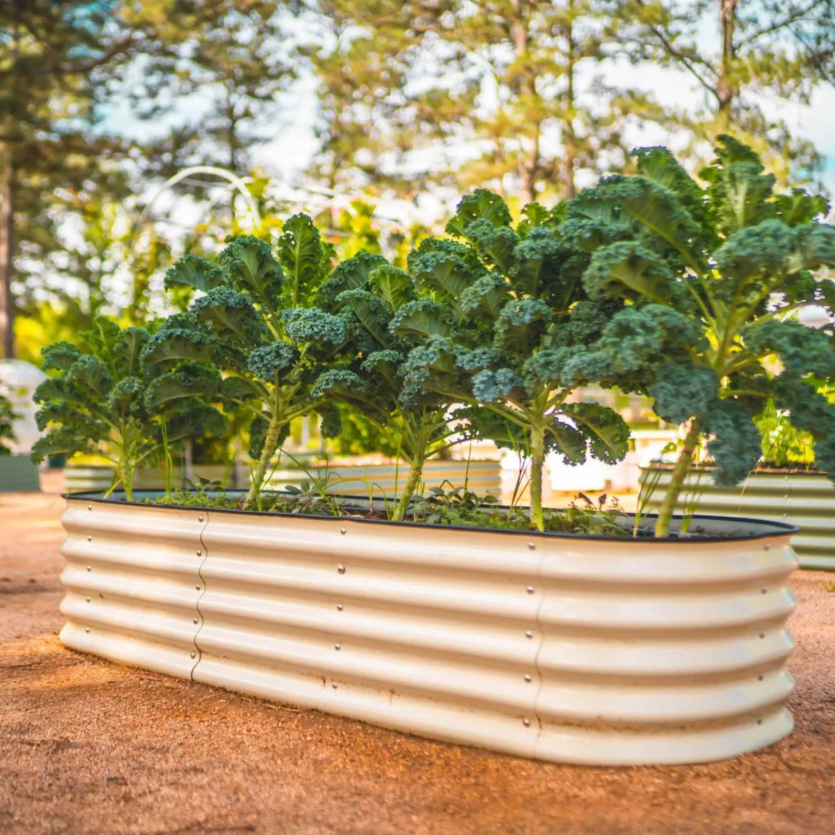 17" Tall 6 In 1 Medium Modular Metal Raised Garden Bed Kit Eco My Home Garden beds Vego Garden ecomyhome.store United States