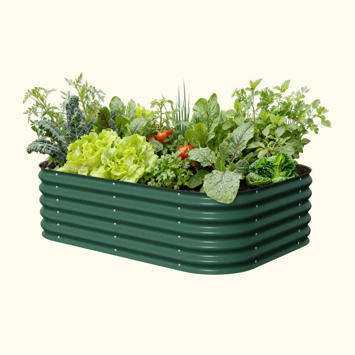 17" Tall 6 In 1 Medium Modular Metal Raised Garden Bed Kit Eco My Home Garden beds Vego Garden ecomyhome.store United States
