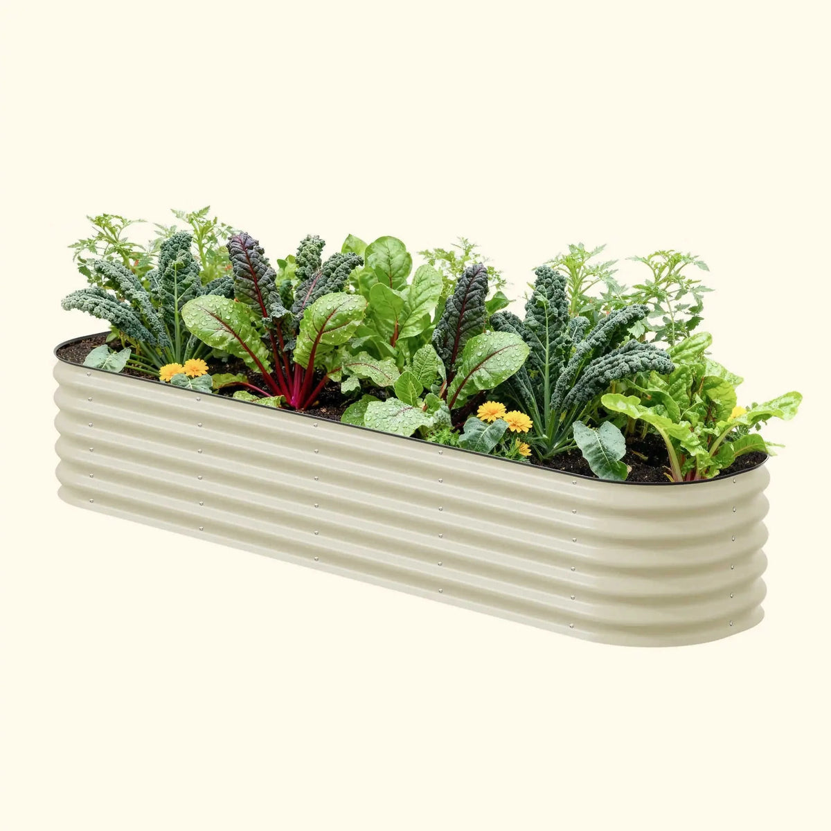 17" Tall 9 In 1 Large Modular Metal Raised Garden Bed Kit Eco My Home Garden beds Vego Garden ecomyhome.store United States