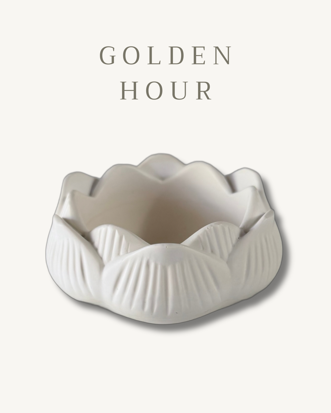 THE BLOOM BOX