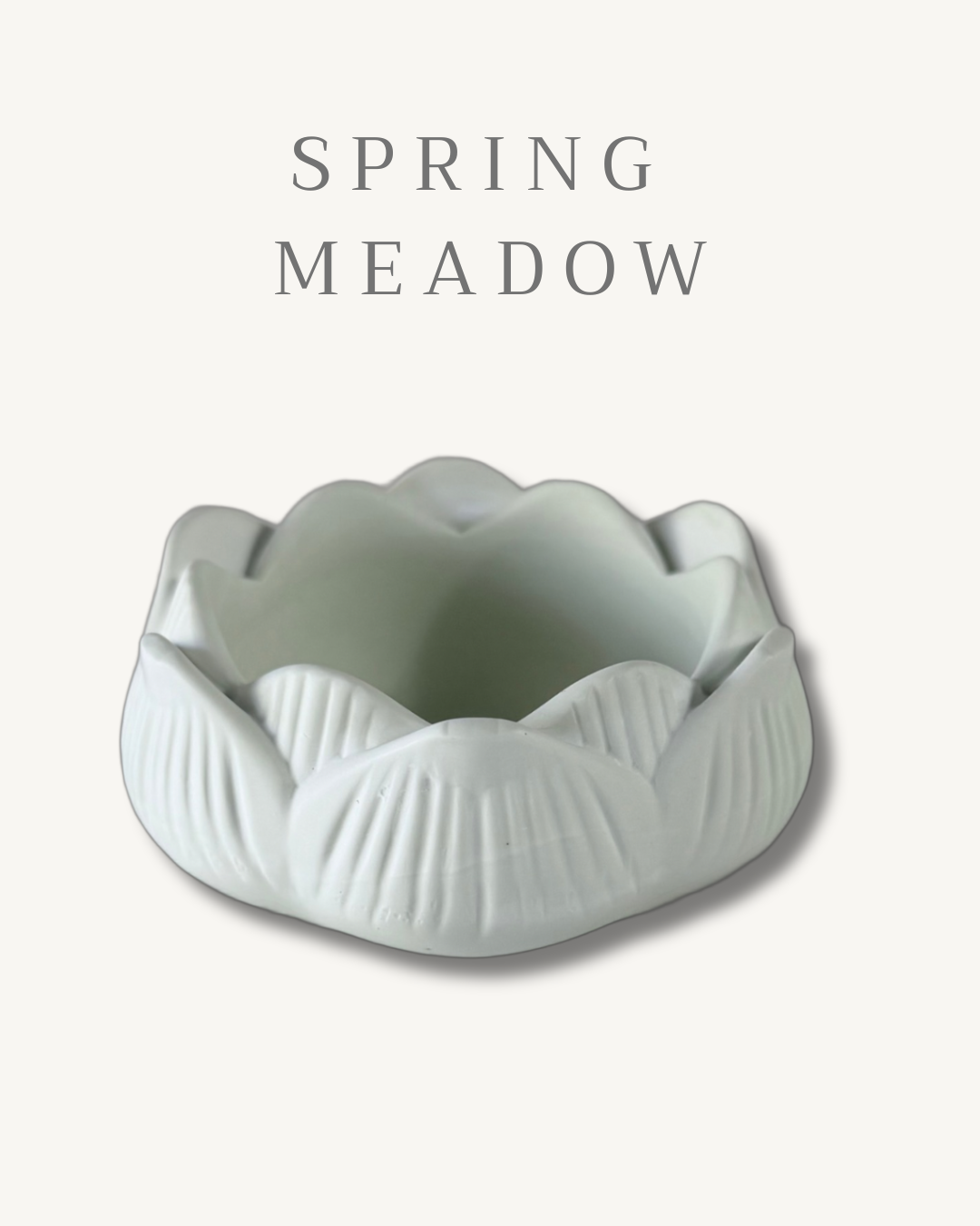 THE BLOOM BOX