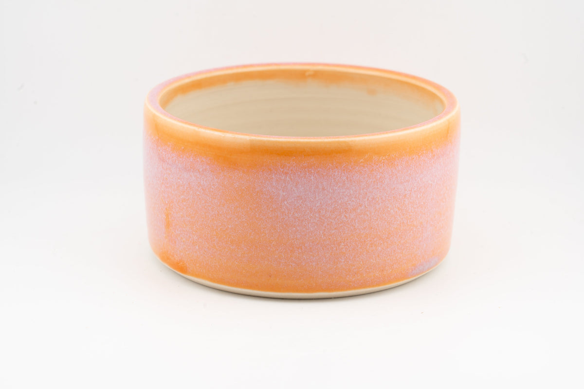 Dog Bowl