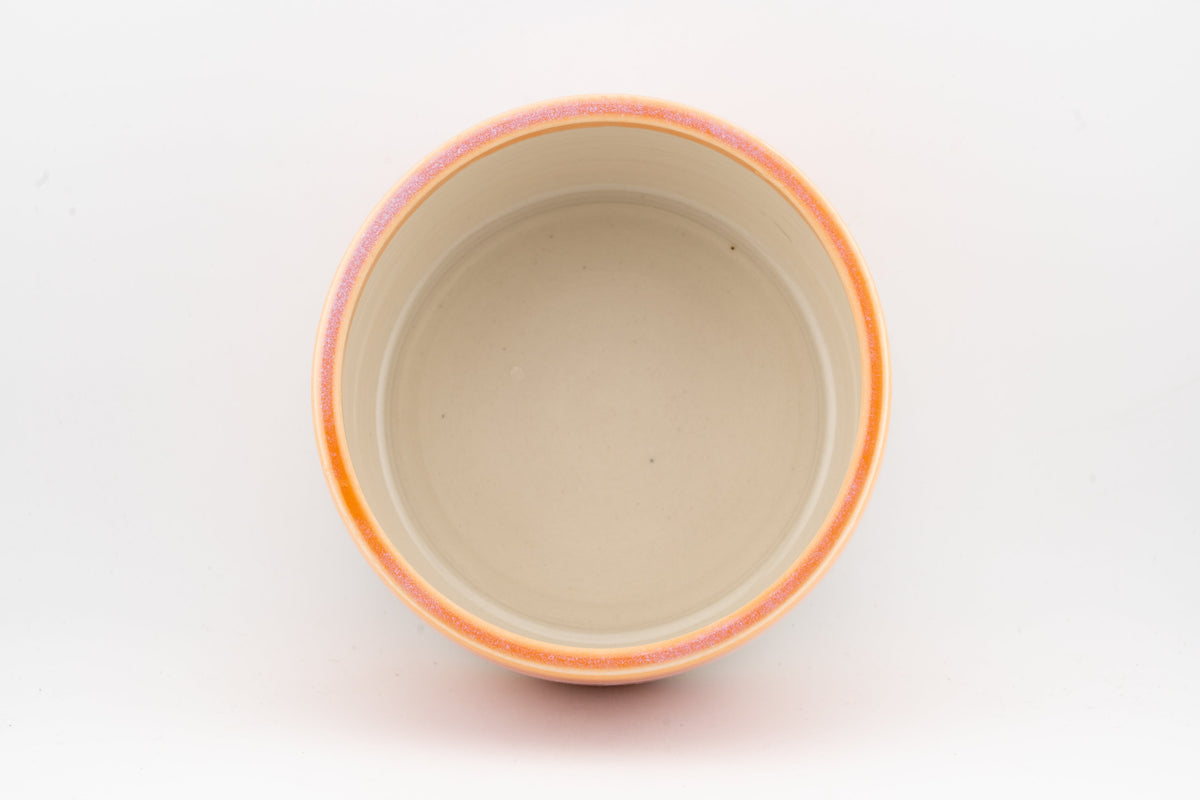 Dog Bowl