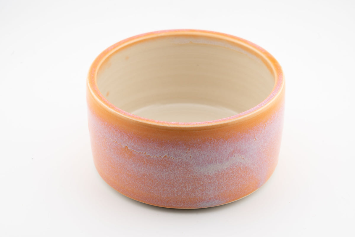 Dog Bowl