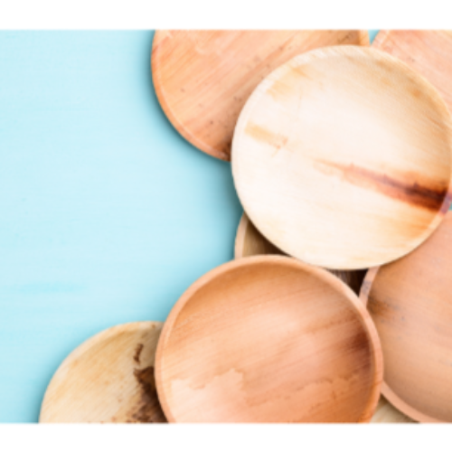 Palm leaf  6 Inch Round Plate (600 Pack)