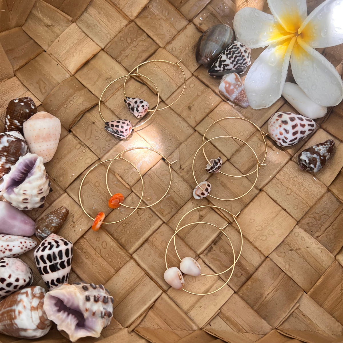 Minimalist Coco Eve Shell & Spondy Hoops