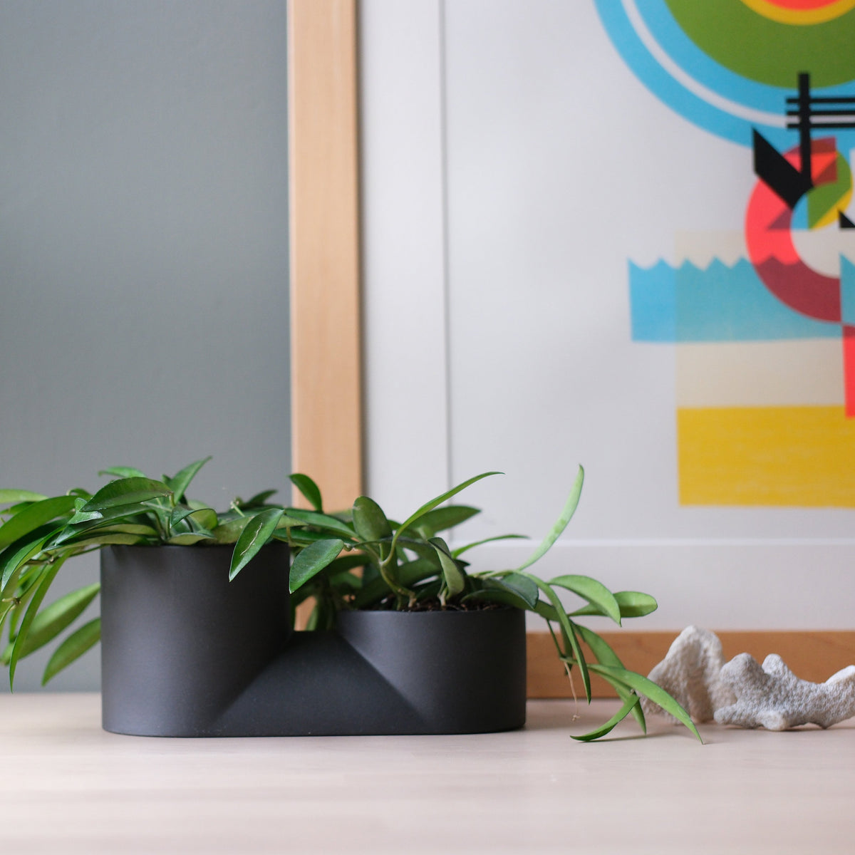 Double Planter