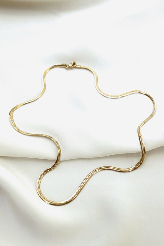 Flat Snake Chain - Gold - Stainless Steel