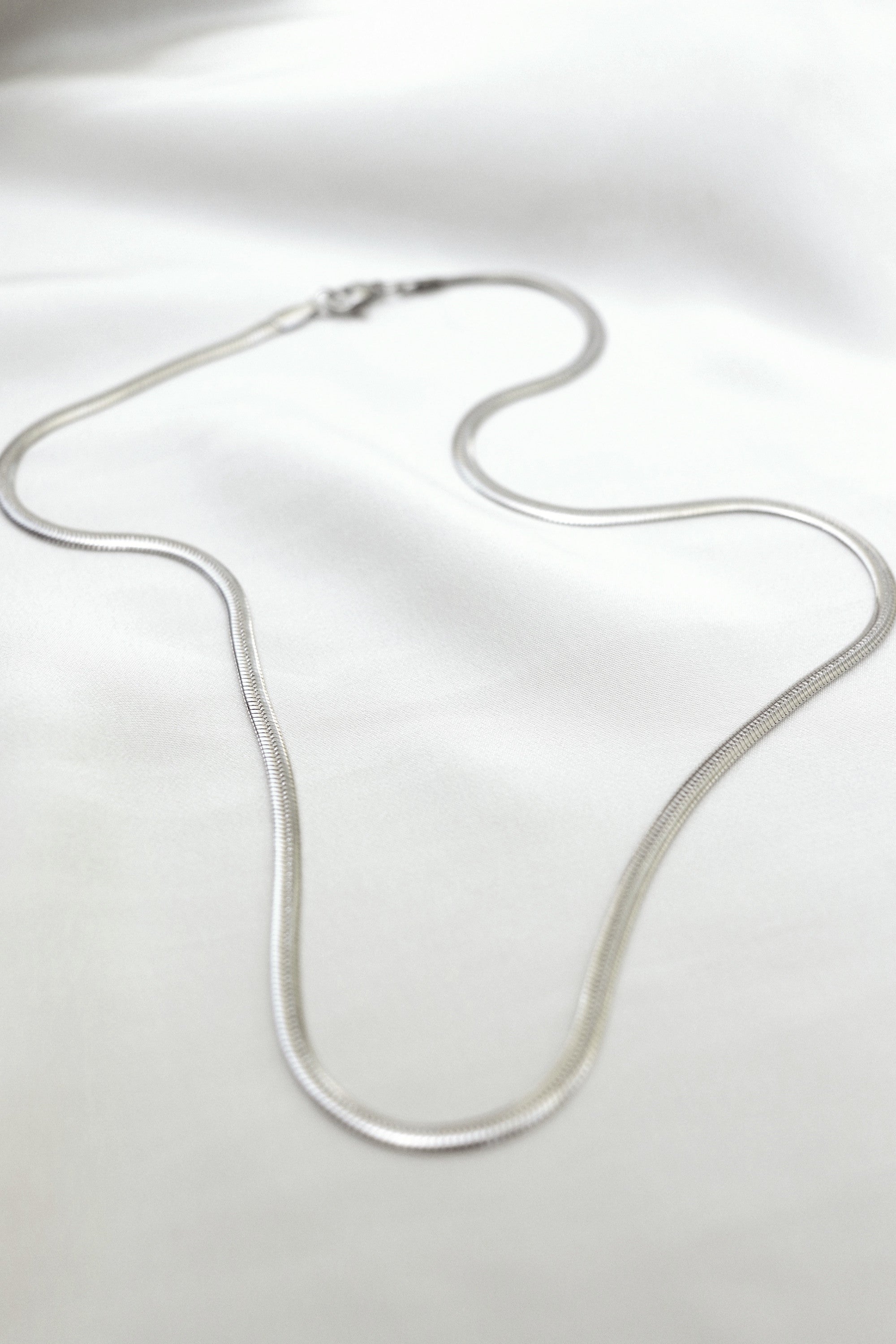 Flat Snake Chain - Silver - Stainless Steel