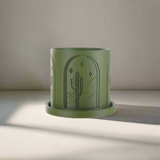 Cactus Planter