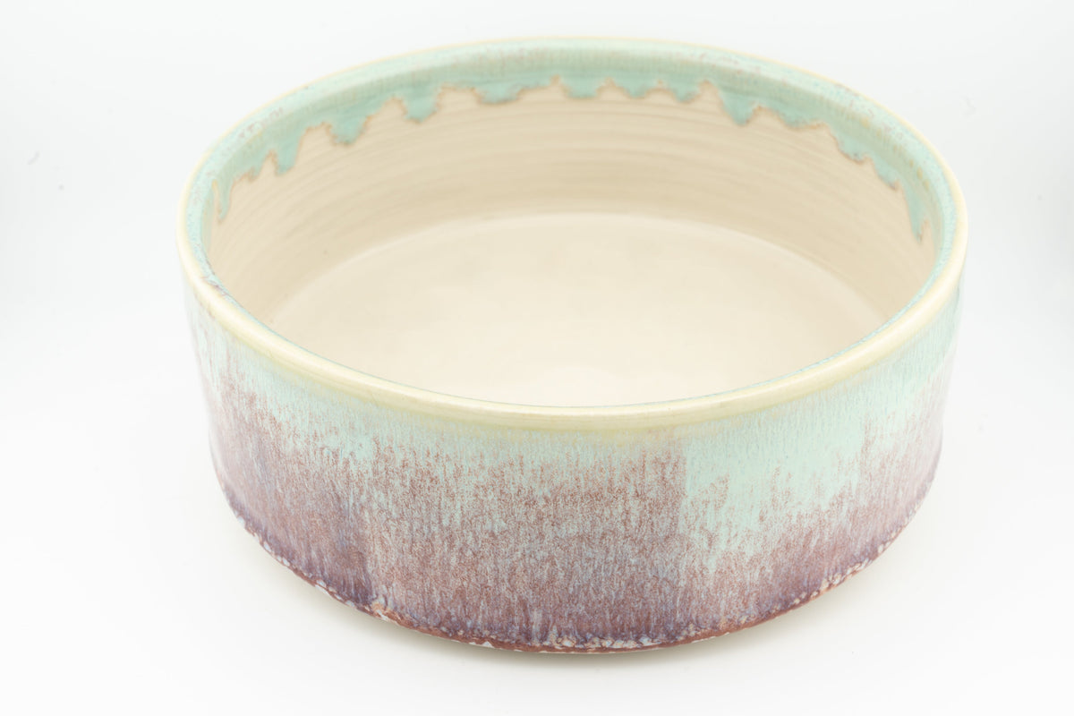 Dog Bowl