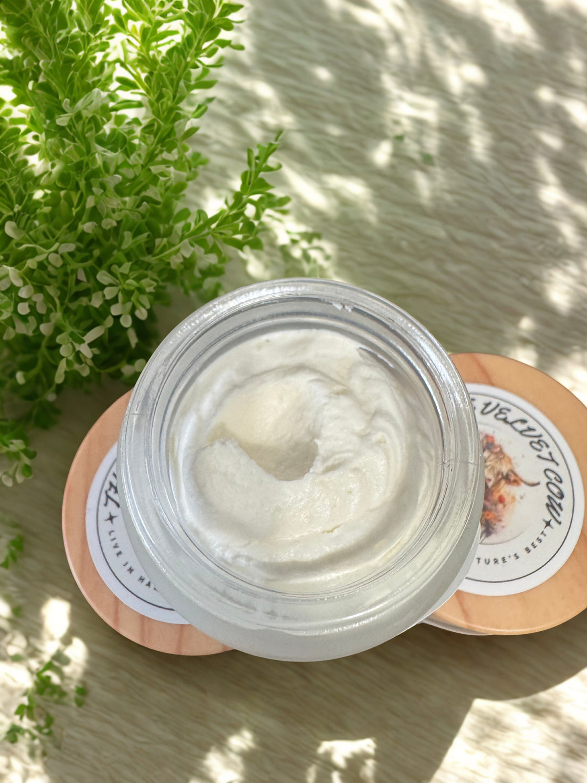 Radiance Renewal Tallow Face Cream | Bakuchiol