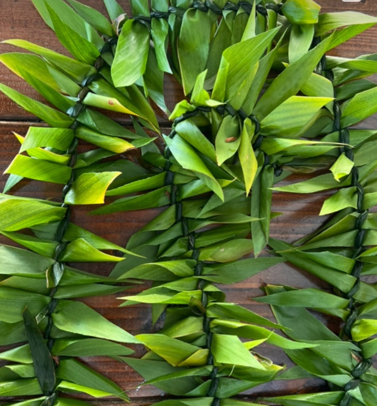 Thick Ti Leaf Money Lei (Closed)