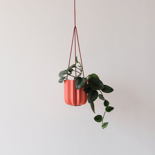 Wrap Hanging Kit