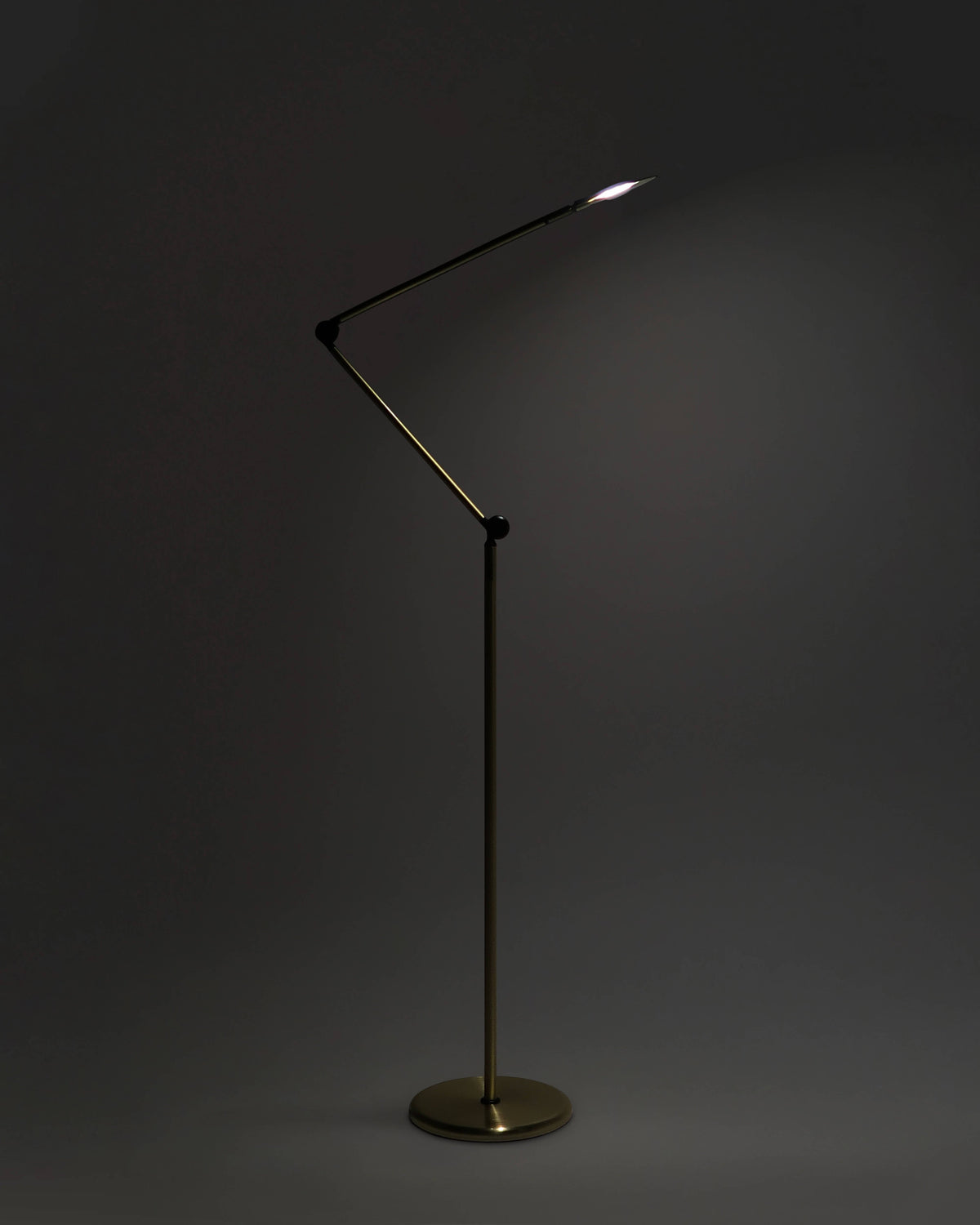 Sage 2-in-1 LED Floor and Table Lamp