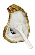Oyster Shell Salt | Pepper | Caviar Dish with Mother of Pearl Mini Spoon