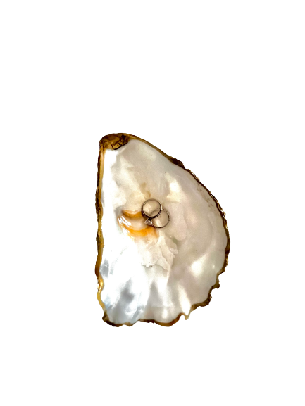Oyster Shell Trinket Dish