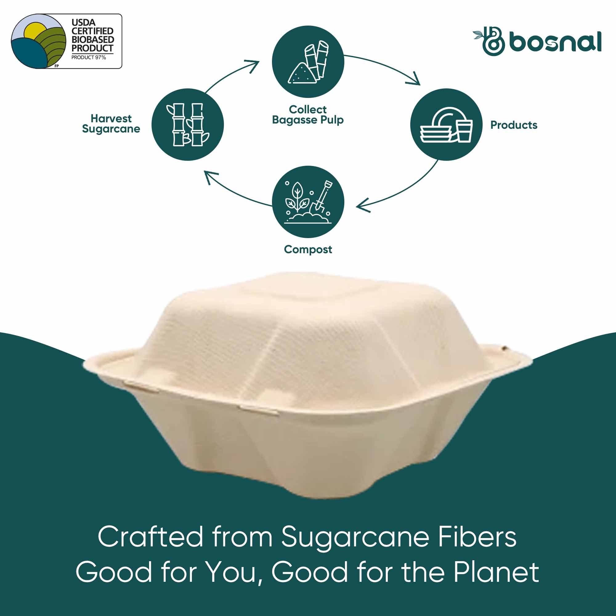 Bosnal - Sugarcane Bagasse Compostable 6inch Square Clamshell Containers - Case of 20 (500 Pcs)