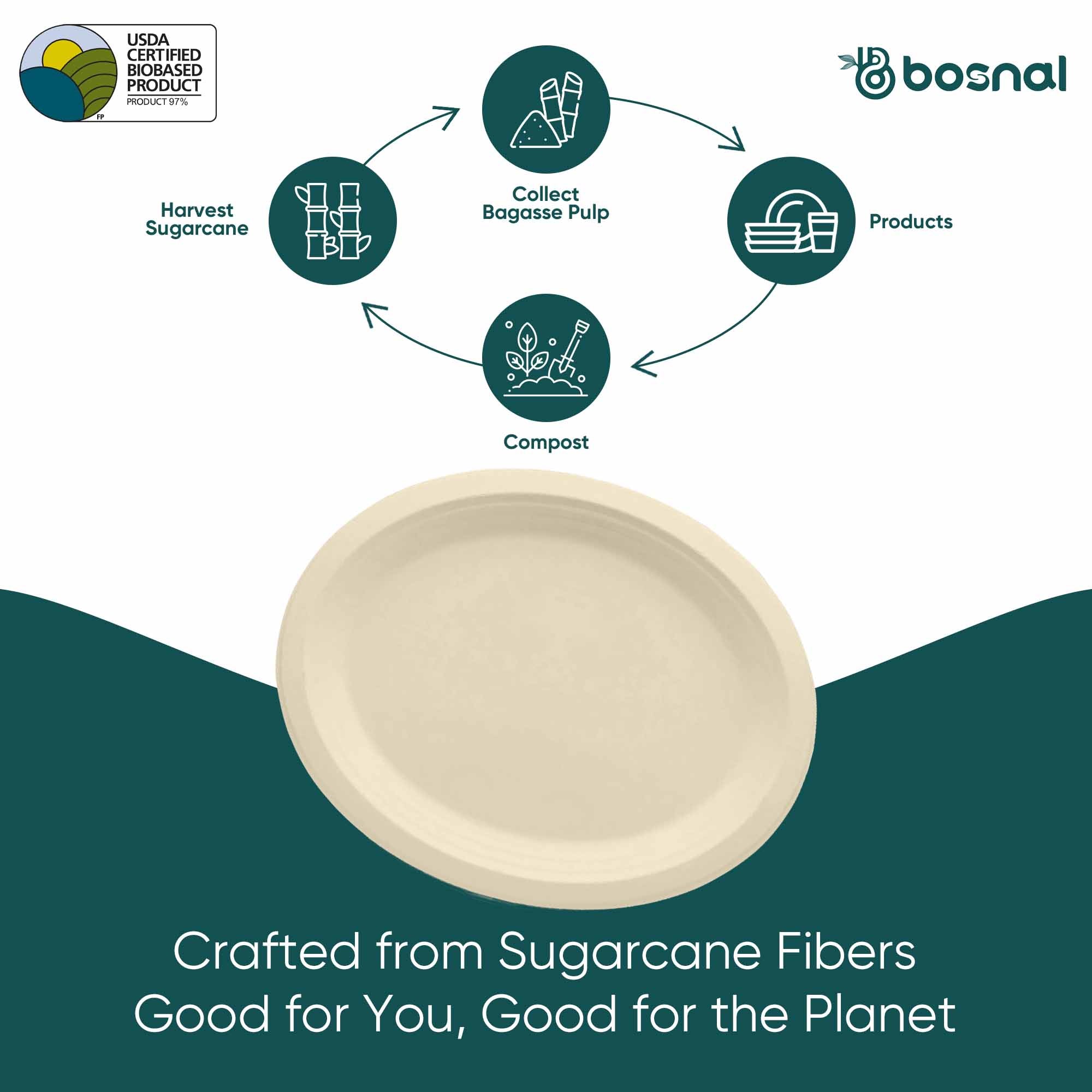 Bosnal - Sugarcane Bagasse Compostable Plates, 10 inch, Oval