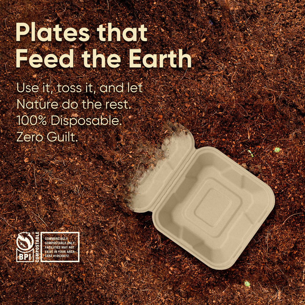 Bosnal - Sugarcane Bagasse Compostable 6inch Square Clamshell Containers - Case of 20 (500 Pcs)