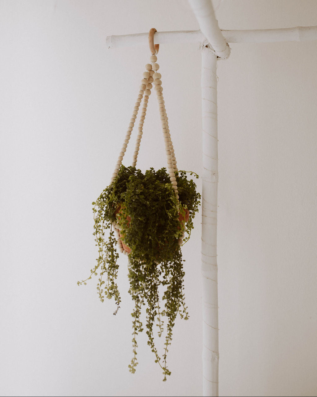 Wood Beaded Plant Hangers