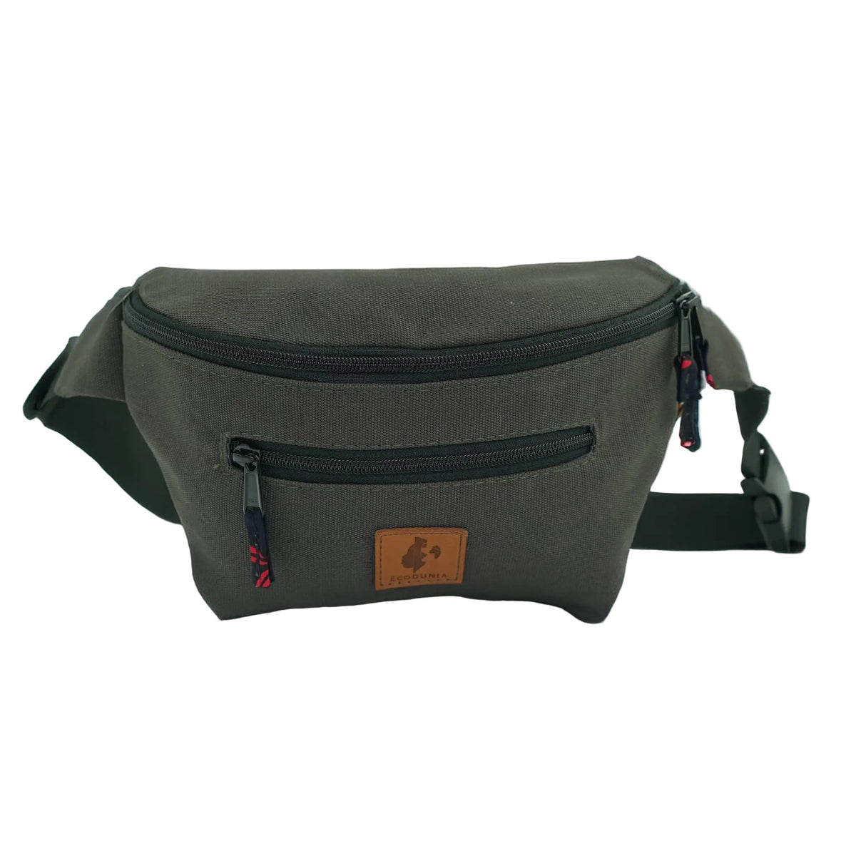 Canvas Crossbody Fanny Pack | Toni Bag