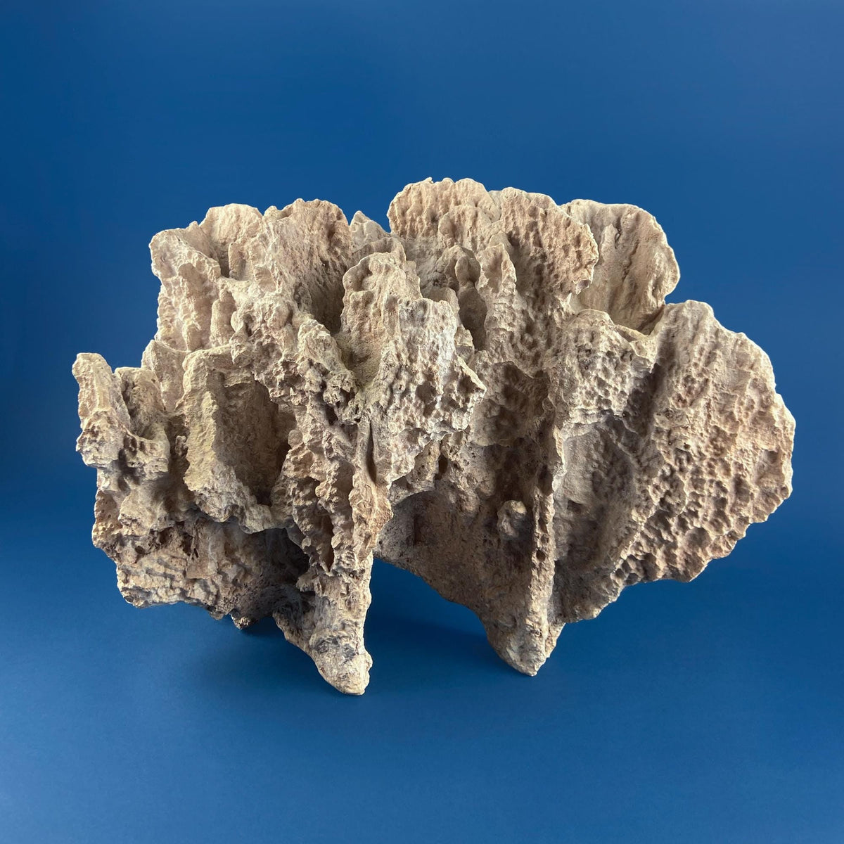 Imitation Coral Sculpture for Coastal Themed Home Rock Garden Aquarium. Vacation Property Tropical Display. Gift for Dad, Fisherman.