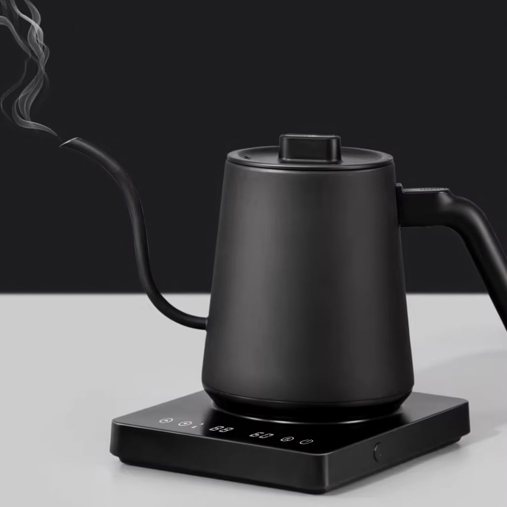 Electric Gooseneck Pour-Over Kettle