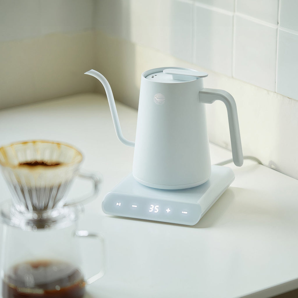 Premium Hand Brewed Coffee Kettle