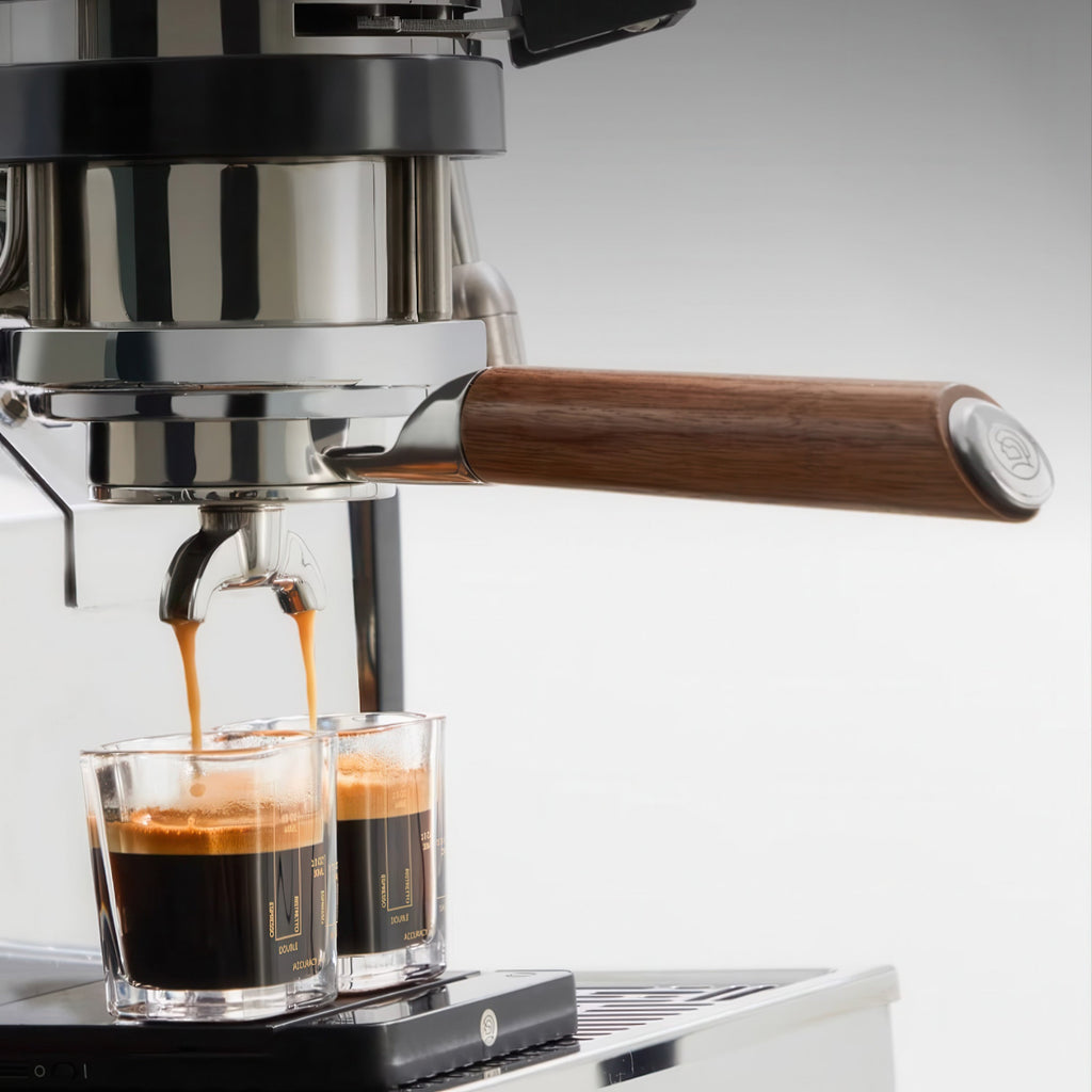 Bottomless Portafilter with Removable Double Spout