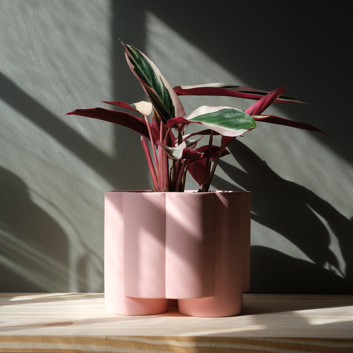 Pillar Planter