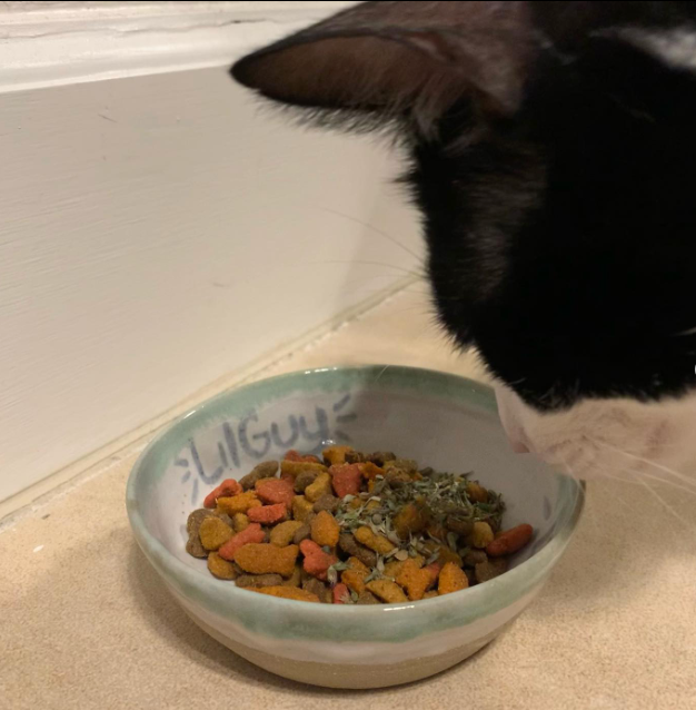 Cat Dish with Custom Name