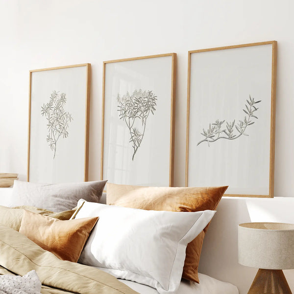 Vintage Neutral Botanical Decor. Set of 3 Prints