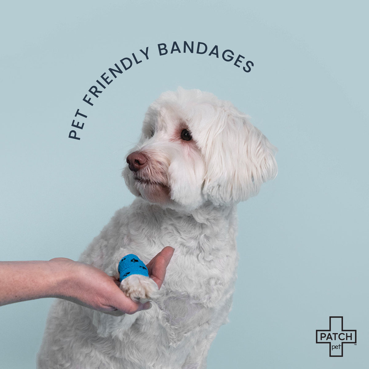 PATCH Pet Eco First-Aid Kit Bundle - First-Aid Kit & Travel Kit